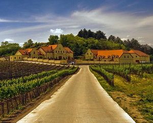 2day private tour of wine region in Czech Republic from Vienna