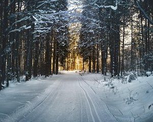 CROSS-COUNTRY SKIING: Great trip to Bohemia mountains