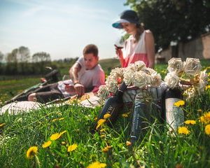 Private PICNIC in Bohemian Vineyards and Wine Tasting Tour in Off-Road Vehicle