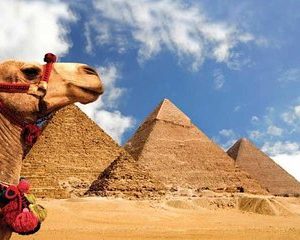 8 Day Egypt Highlights Cairo, Aswan, Nile Cruise, Abu Simbel, Balloon, Camel