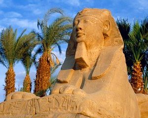 Egypt Best Holidays to Cairo, Abu Simbel, Aswan & Luxor