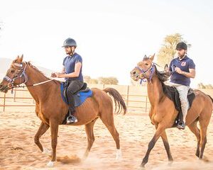 Private 4x4 Mleiha Desert Safari Horse Riding with Museum Visit