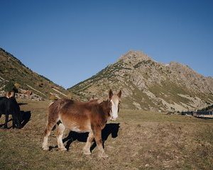 Spend 1 day in Andorra