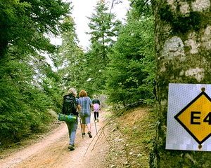 HIKE & BIKE PELION 3-Day Private Guided Tour