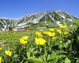 1-Day Tateyama-Kurobe Tour: Walking on the 'Roof of Japan'