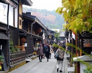 2-Day Snow Monkey Tour: Nagano to Takayama via Matsumoto