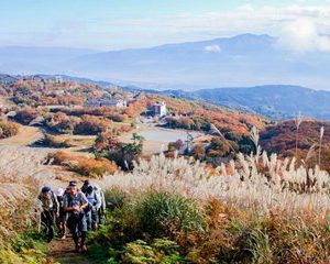 5 Nights Shine-Etsu Trail Hike - Nozawa Onsen / Japan