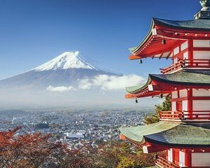 7-Day Guided Tour in Tokyo, Mount Fuji, Kyoto, Nara and Osaka