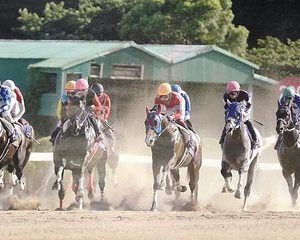 A tour to enjoy Japanese official gambling (horse racing, bicycle racing, pachinko)