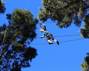 Adrenalin Forest Auckland