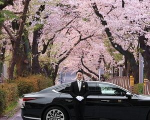 Cherry Blossom Private Tour