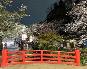 Essence of Sakura Cherry Blossom Photography Tour