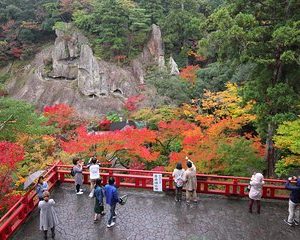 Fukui private tour and Photoshoot by professional photographer