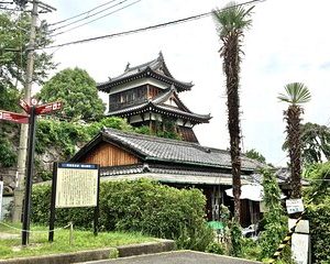 Full-Day Goldfish Unique Experience in Yamato-Koriyama, Nara