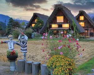 Gokayama/Shirakawago private 1 day tour+Photoshoot by professional photographer