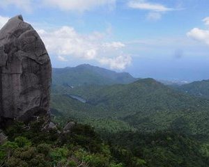 Granite Obelisk in Yakushima Full-Day Trekking Tour