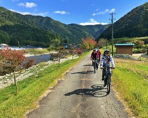 Half Day Rural E-Bike Tour in Hida