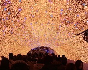 Half-day tour to enjoy Japan's largest illumination and outlet