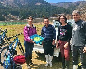 Hida Private E-Bike Tour with Premium Lunch and Farm Experience