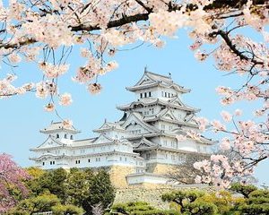 Himeji Full-Day Private Tour with Government-Licensed Guide