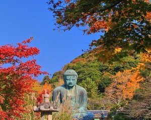 Kamakura Spanish Tour