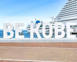 Kobe City 3-4 Hours Private Tour