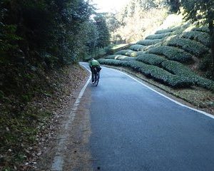 Kyoto, Nara 2 days bike tour with overnight self guided