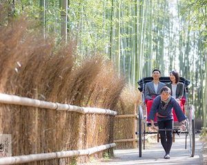 Kyoto Rickshaw Tour