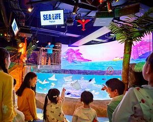 Legoland Japan & Sea Life: Nagoya Combo Admission Ticket