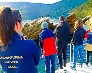 Marlborough Sounds Ultimate Cruise