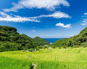 Matsuzaki Self-Guided Audio Bike Tour