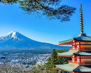 Mt. Fuji Area Private Driving Tour with English-speaking Chauffeur (Tokyo Dept)