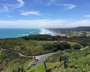 Muriwai Scenic Wine Tour from Auckland