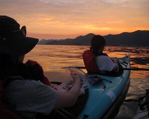 Night Kayak Tour Relax Under the Natural Glow of Sea Fireflies