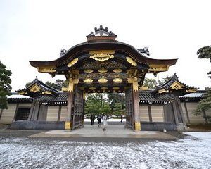 Nijo Castle and Imperial Palace Visit with Private Guide