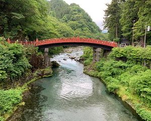 Nikko one day trip from Tokyo private charter