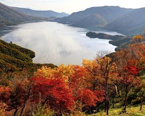 Nikko private tour with English speaking driver