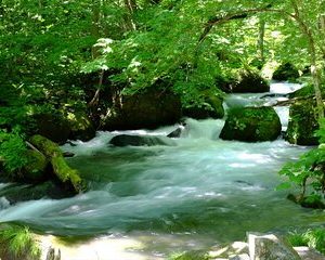 Oirase Gorge and Lake Towada Day Hike with Government-Licensed Guide