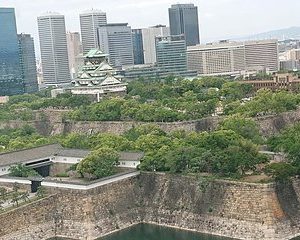 Osaka Castle & Dotonbori Lively One Day Tour