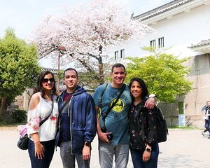 Osaka Castle and the Sumiyoshi Taisha Shrine