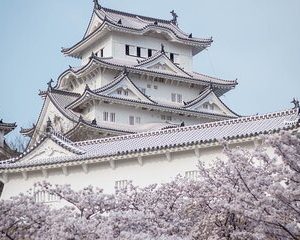 Private 6 Day Japan Exclusive Tour