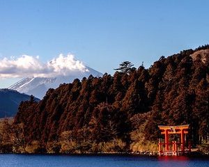 Private Hakone Tour - View of Mt. Fuji, Nature and Culture