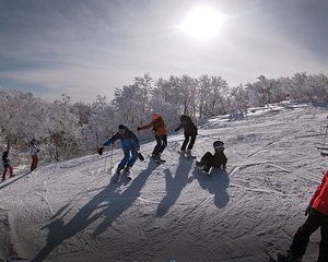 Private Ski Lesson in Madarao Ski Resort