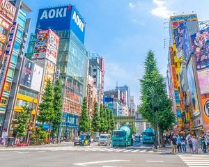 Private Tour Enjoy Shopping in the Sub Culture Paradise Akihabara