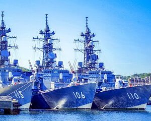 Private Tour - Enjoy the Uninhabited Island and Cruise of Naval Port in Yokosuka