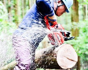 Rural Forestry Tour in Aso Minamioguni