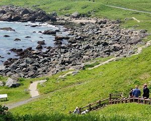 Sanriku Reconstruction National Park Trekking and Fisherman's Lunch Tour