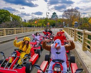 Street Osaka GoKart Tour with Funny Costume Rental