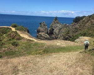 Stunning Auckland East Coast Walk & Wine Private Tour