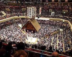 Sumo Tournament Experience in Tokyo